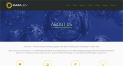 Desktop Screenshot of datalev.com
