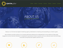 Tablet Screenshot of datalev.com